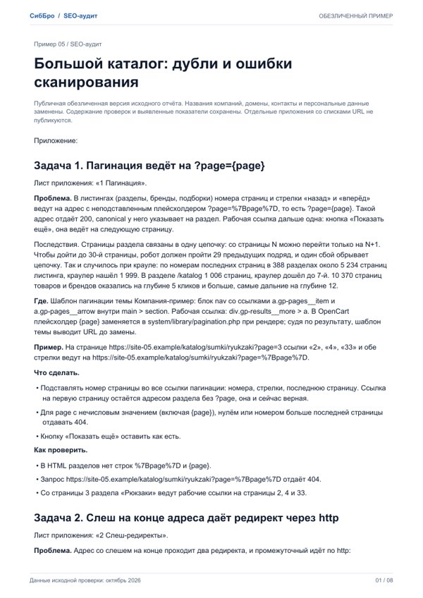 Первая страница обезличенного SEO-аудита, пример 5
