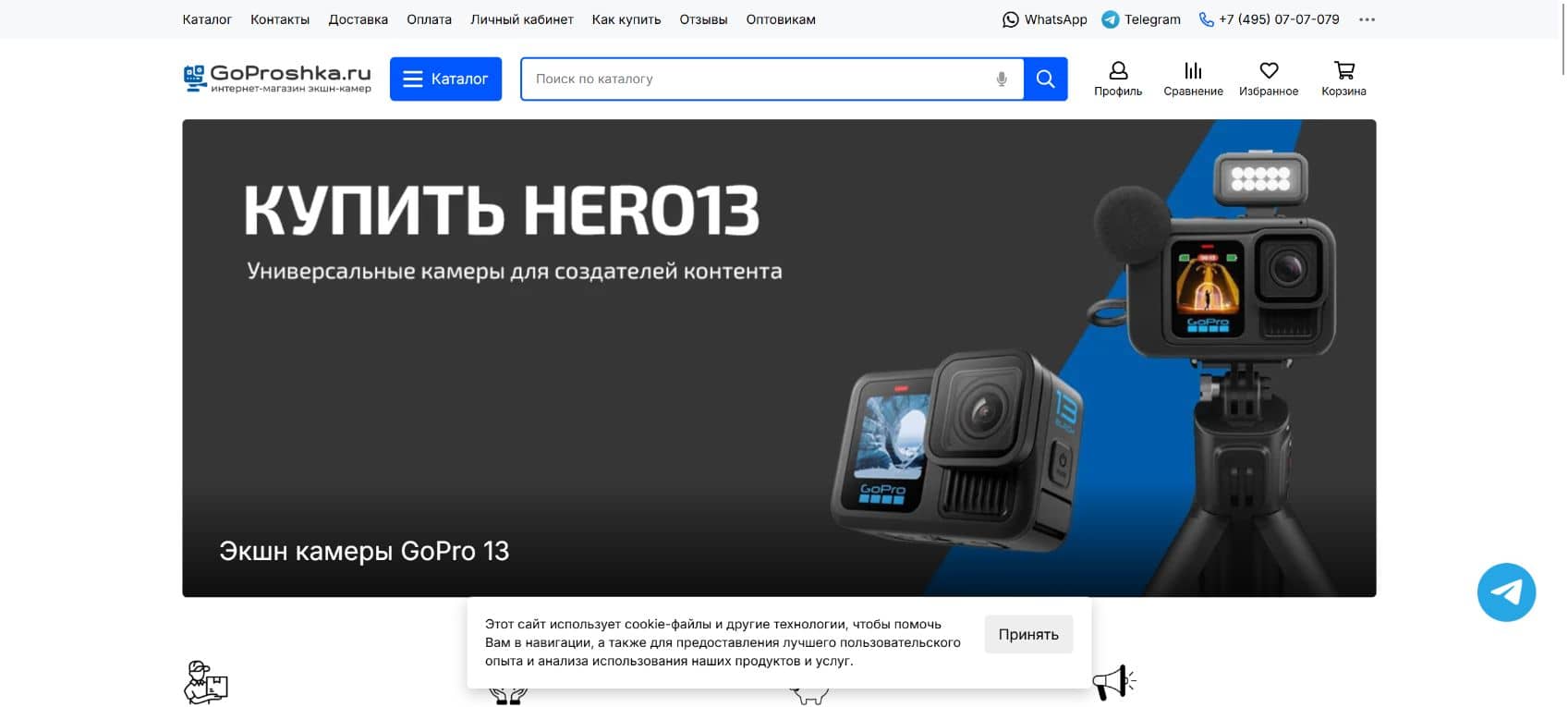 Главная страница интернет-магазина GoProshka